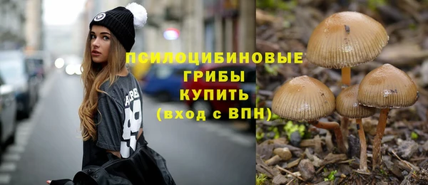 скорость mdpv Каменка